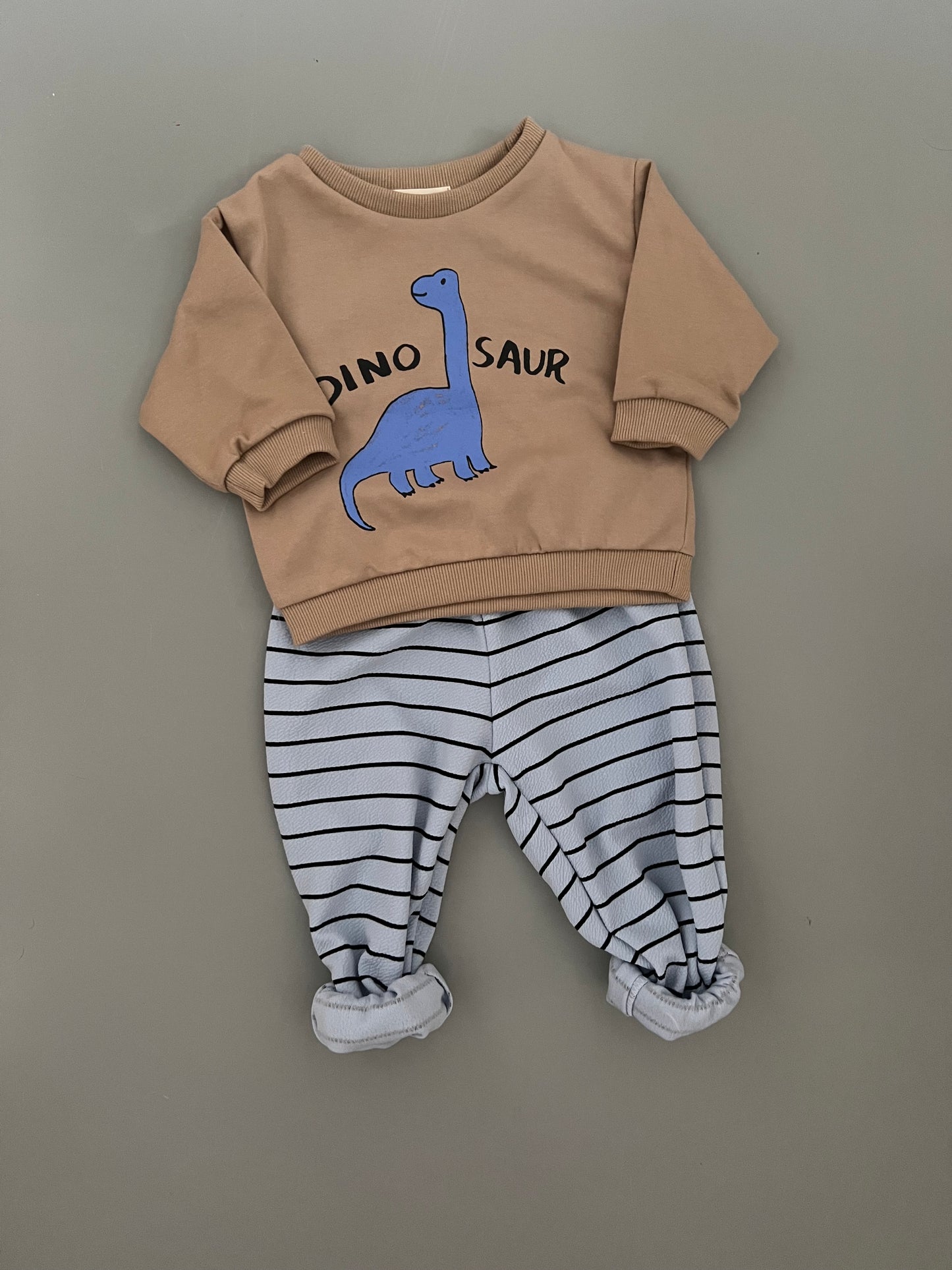 Dino brown sweatshirts