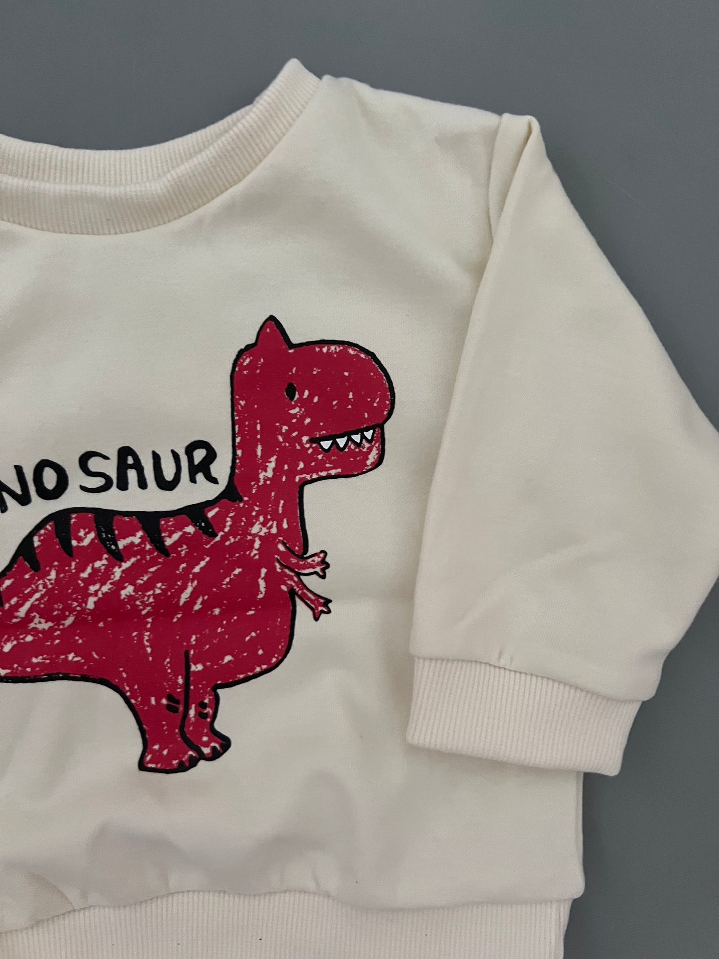 Dino white sweatshirts