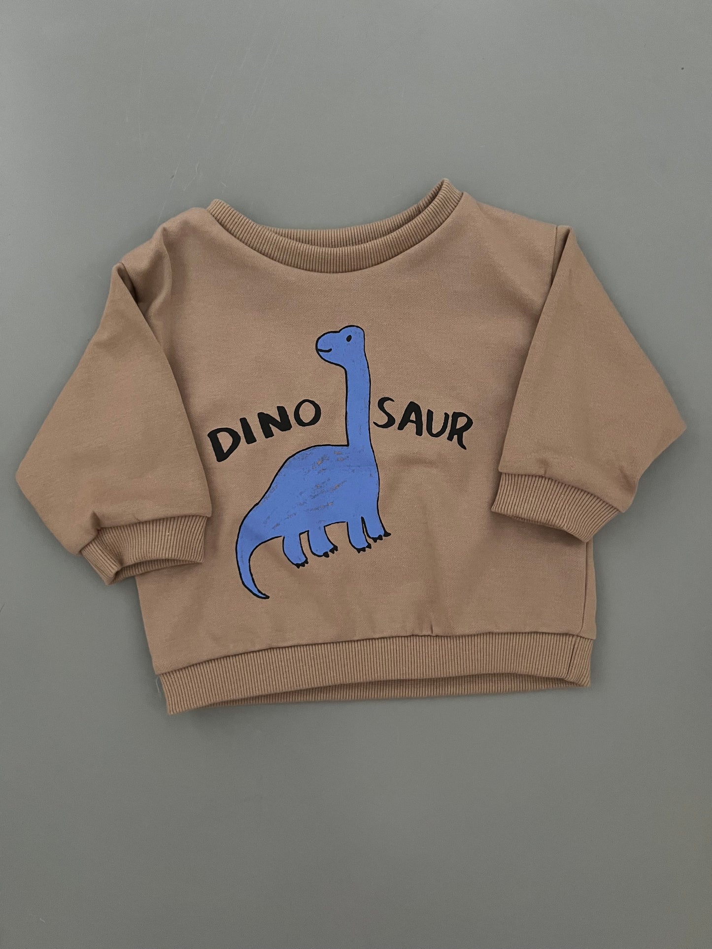 Dino brown sweatshirts