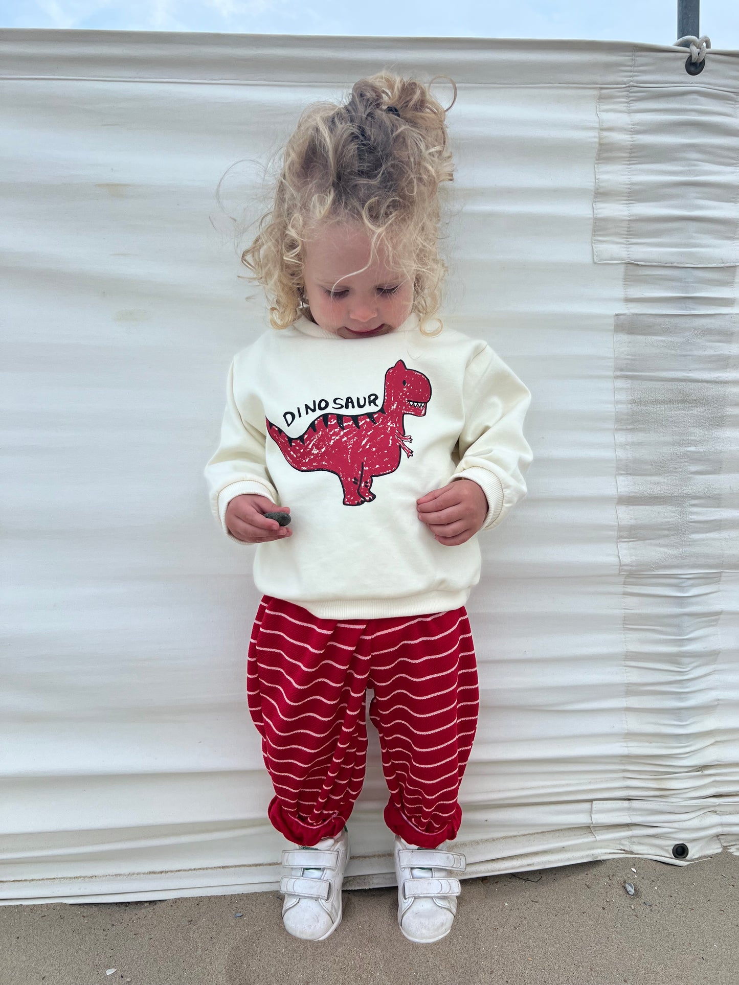 Dino white sweatshirts