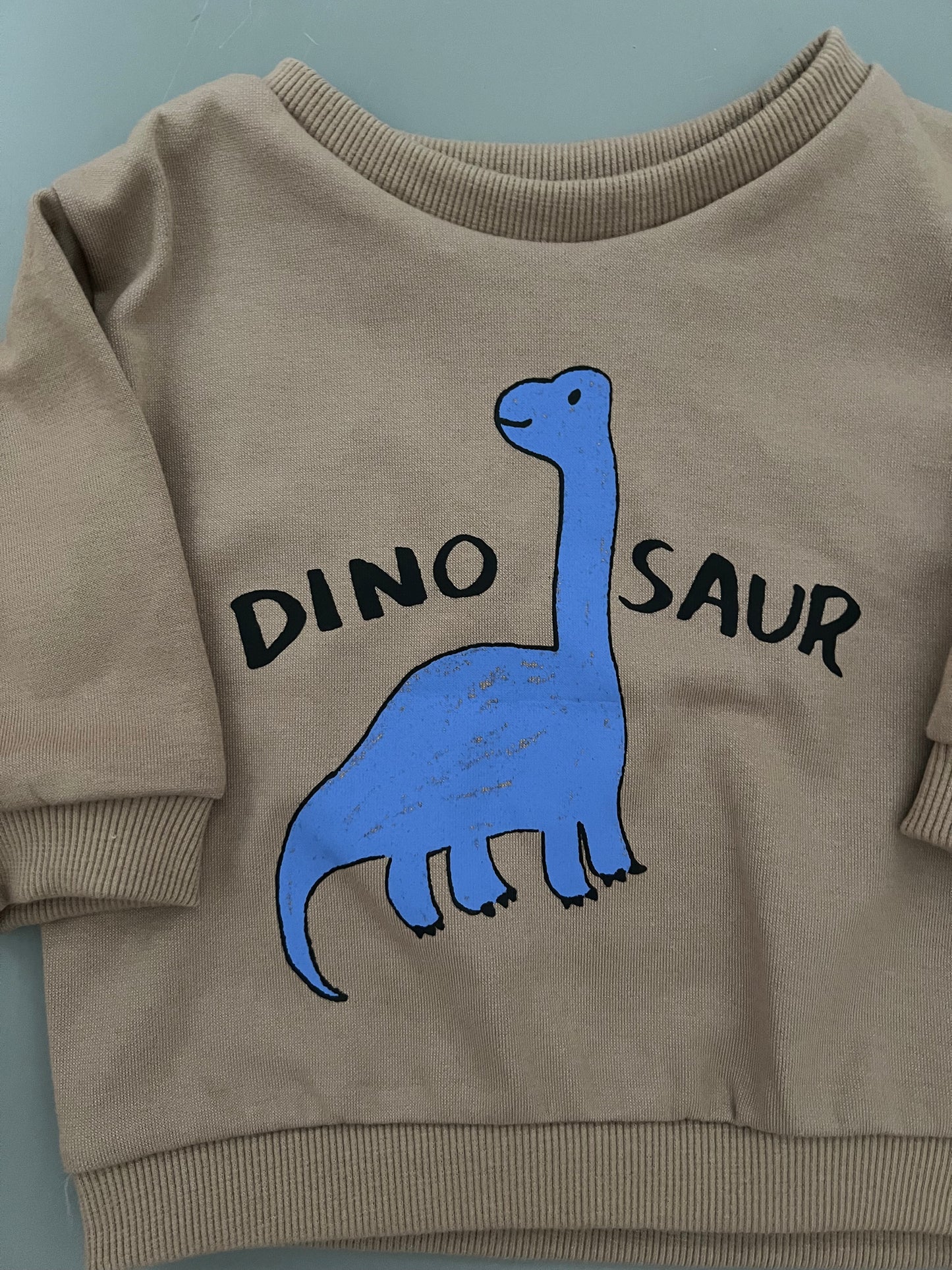 Dino brown sweatshirts