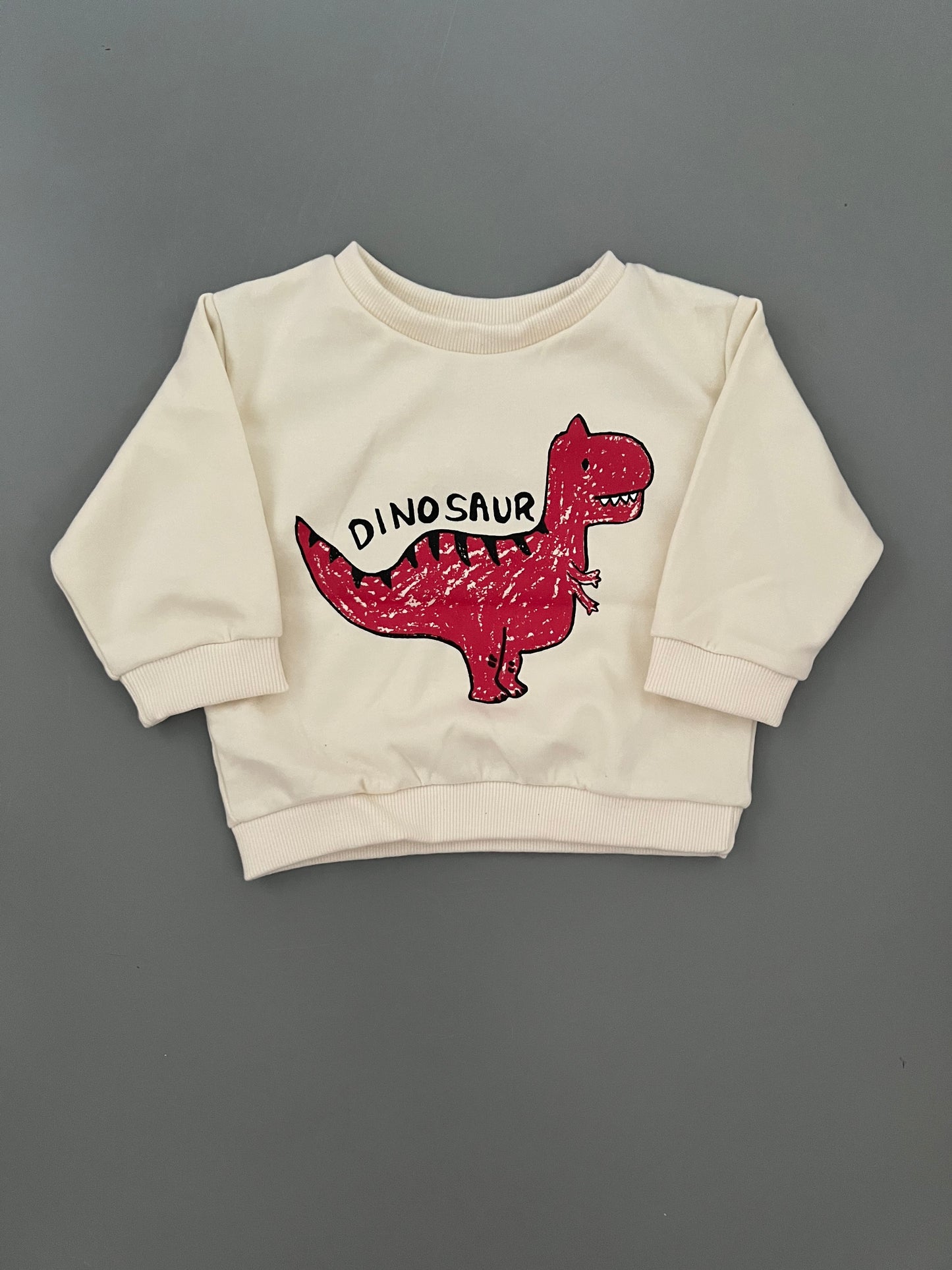 Dino white sweatshirts
