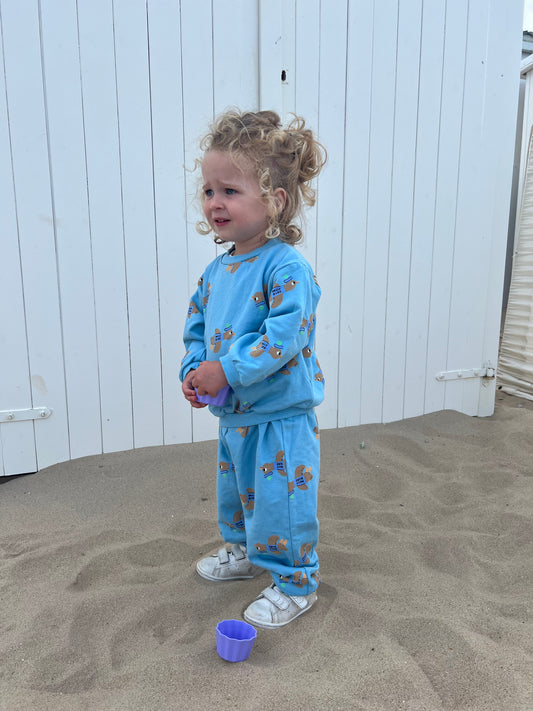 Blue bird set