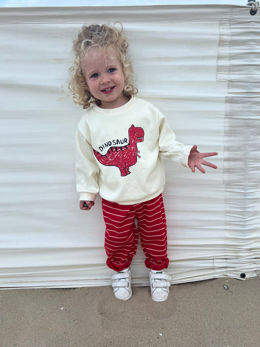 Dino white sweatshirts