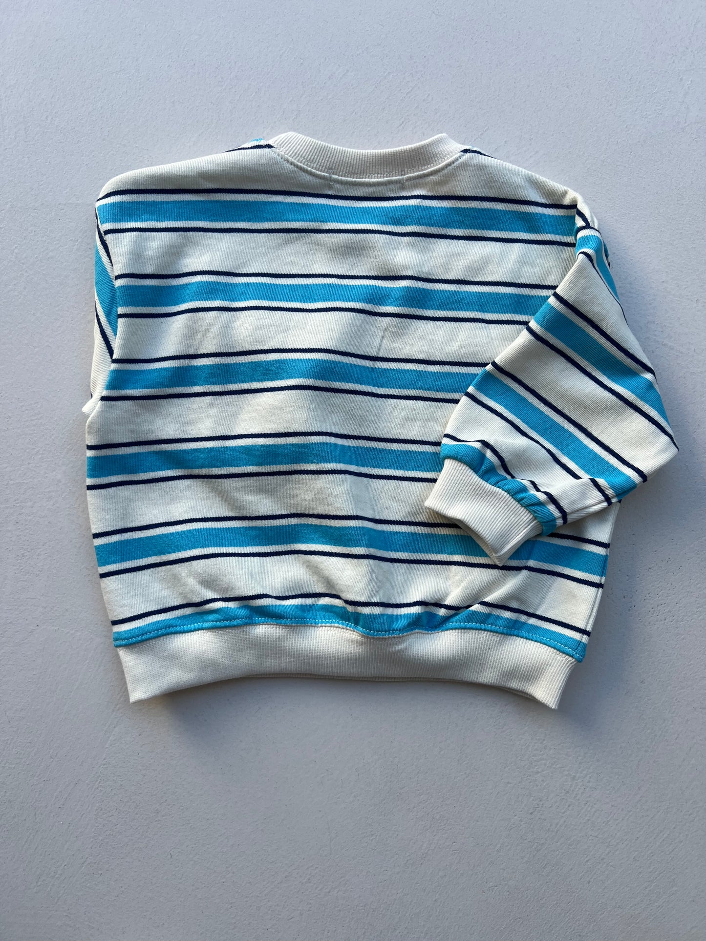 MULTI STRIPE SWEAT